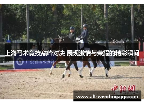 上海马术竞技巅峰对决 展现激情与荣耀的精彩瞬间