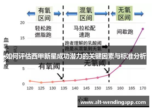 如何评估西甲新星成功潜力的关键因素与标准分析