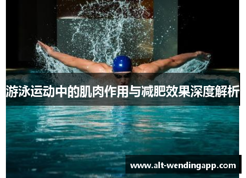 游泳运动中的肌肉作用与减肥效果深度解析