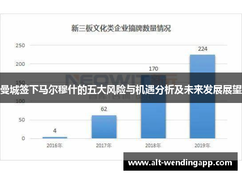 曼城签下马尔穆什的五大风险与机遇分析及未来发展展望