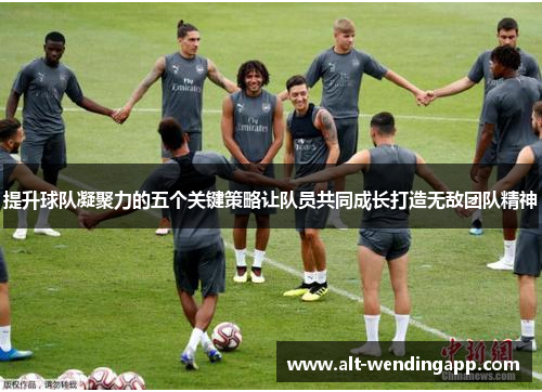 提升球队凝聚力的五个关键策略让队员共同成长打造无敌团队精神