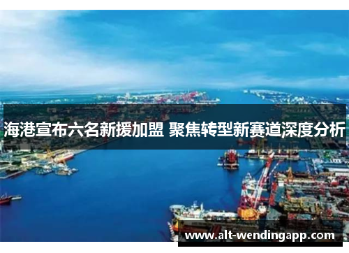 海港宣布六名新援加盟 聚焦转型新赛道深度分析