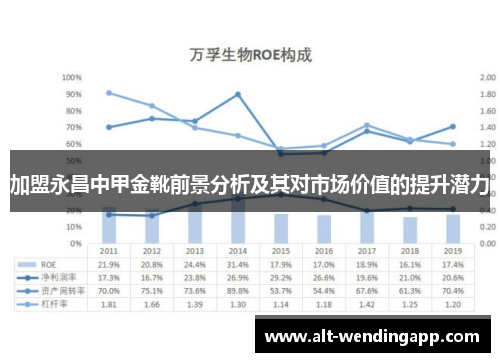加盟永昌中甲金靴前景分析及其对市场价值的提升潜力
